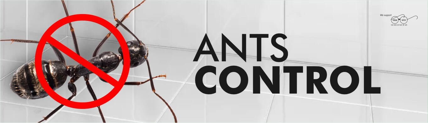 ANTS-CONTROL-SERVICE