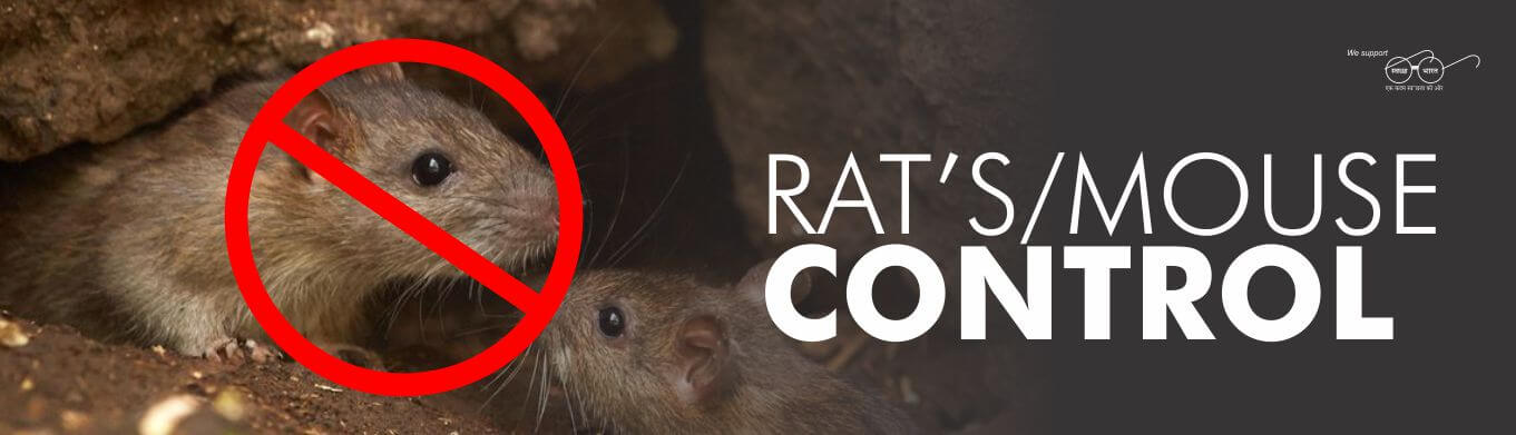 RATS-MOUSE-PEST-CONTORL-BANNER
