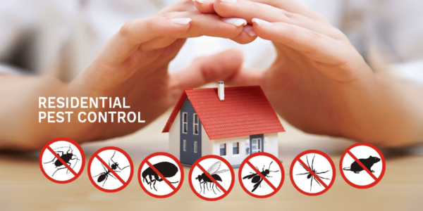 about-pest-control-banner2