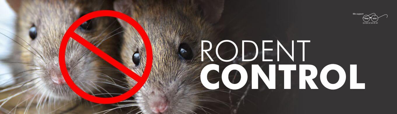 rodent-control-banner