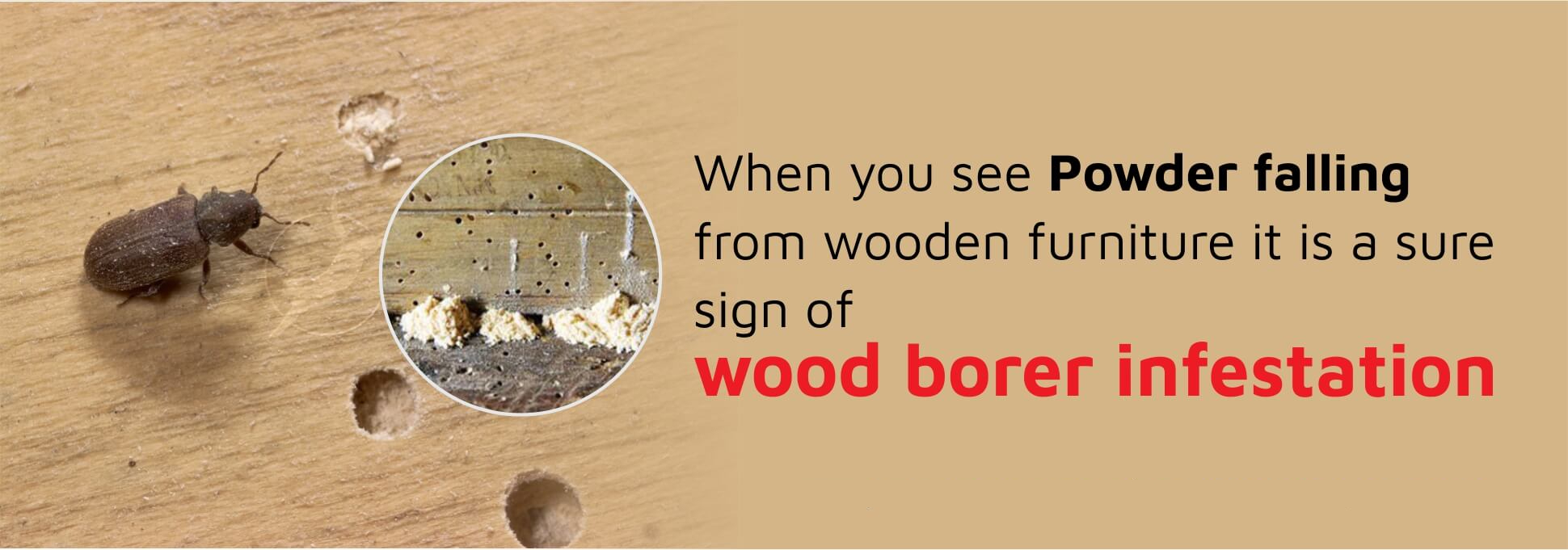 wood-borer